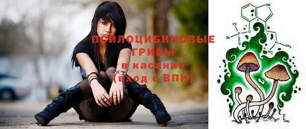 крисы Пестово