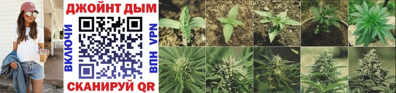 Шишки марихуана SATIVA & INDICA  Луга 